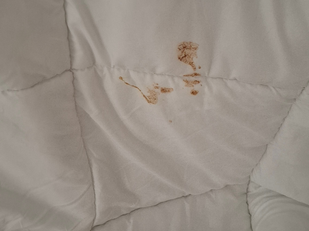 Hotel De Bretagne主图