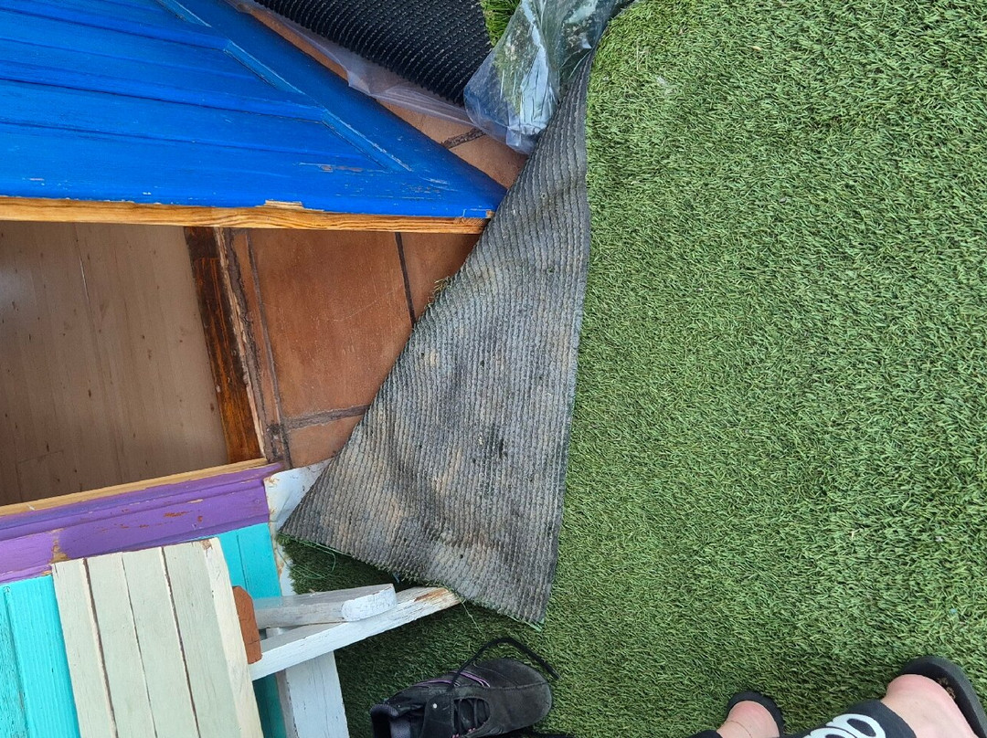 La Jayma del Arte主图