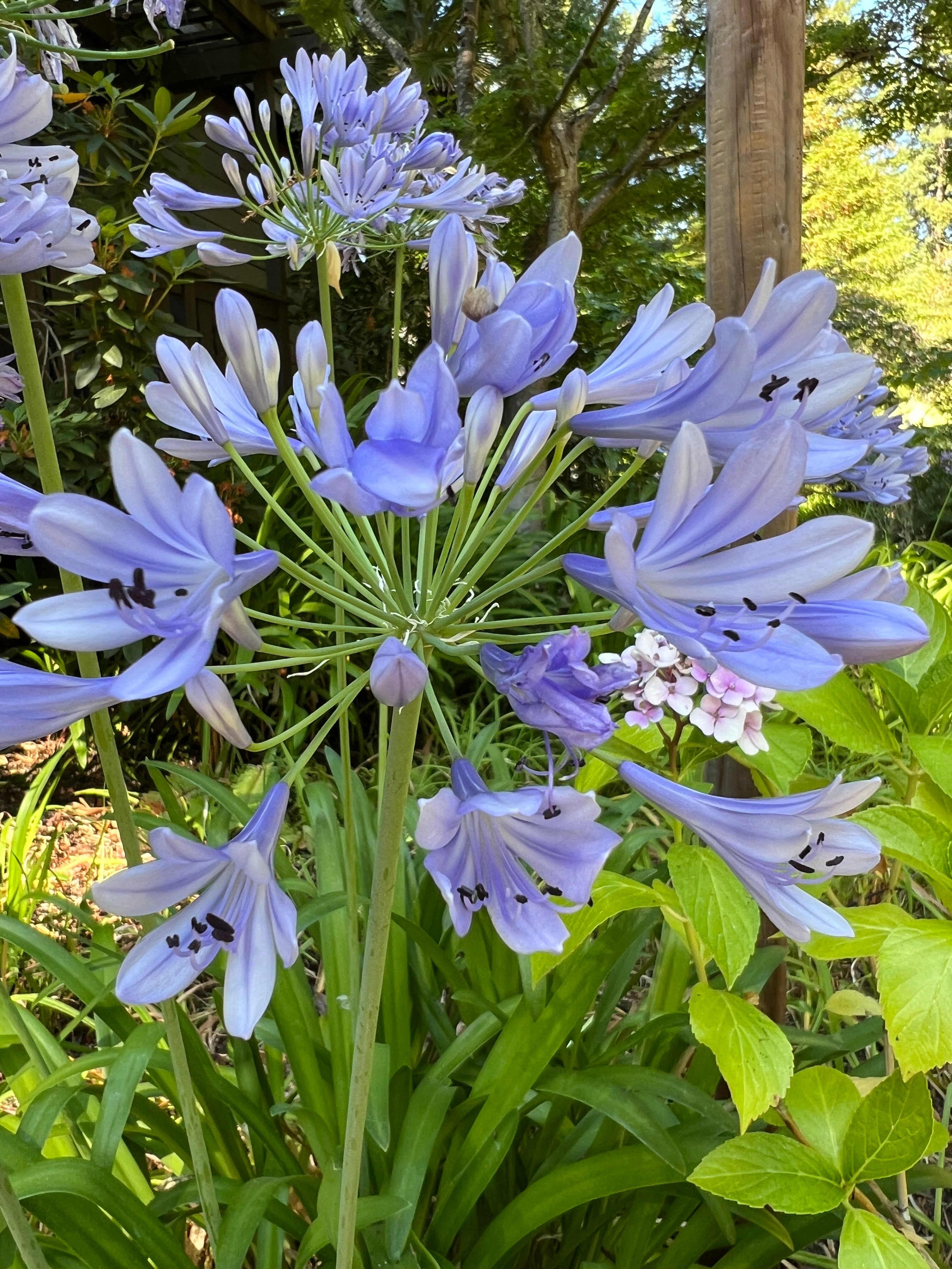 Highlands Resort-浴室