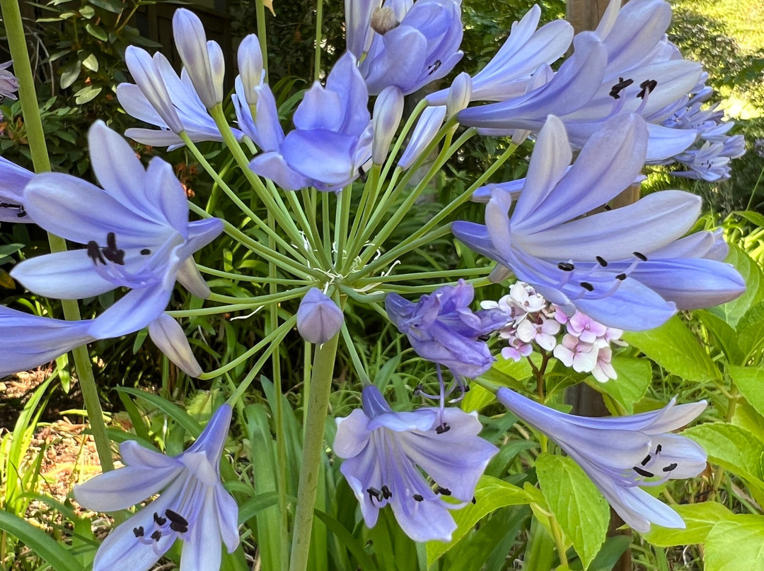 Highlands Resort主图