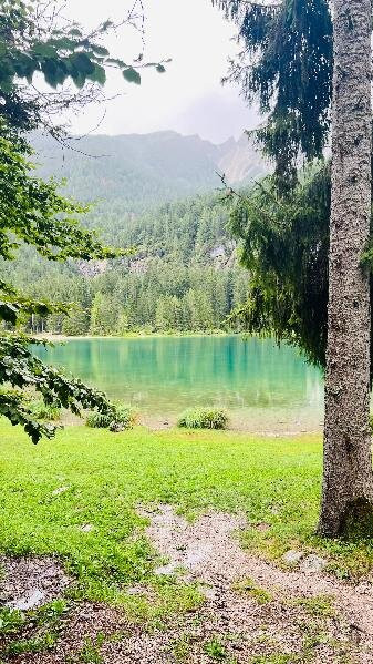 Lago di Tovel景点图片