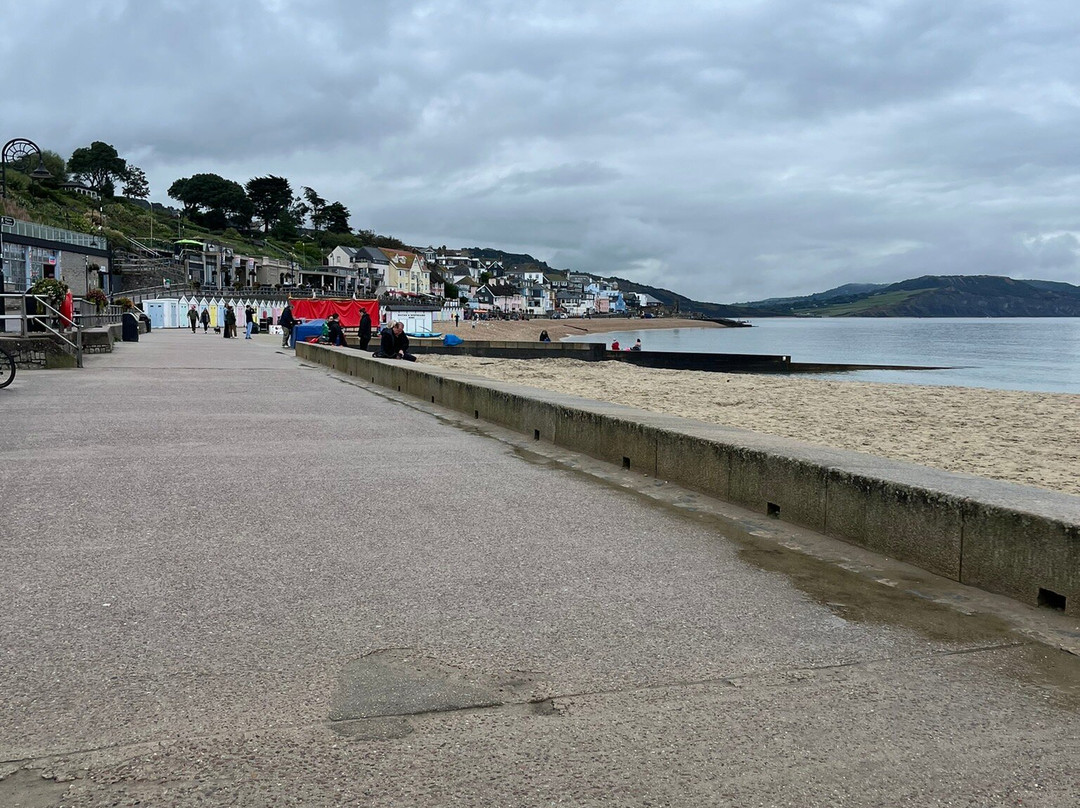 Lyme Regis Beach-莱姆里杰斯必去景点