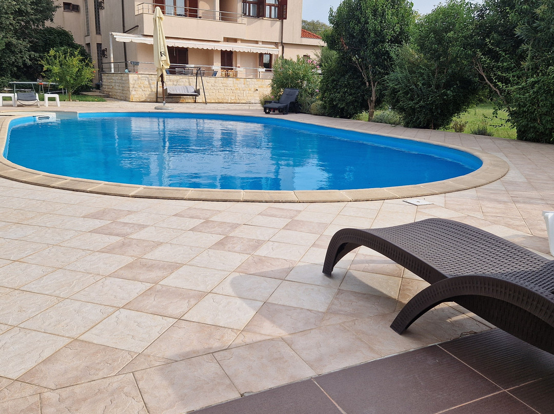 Pansion Skelin主图