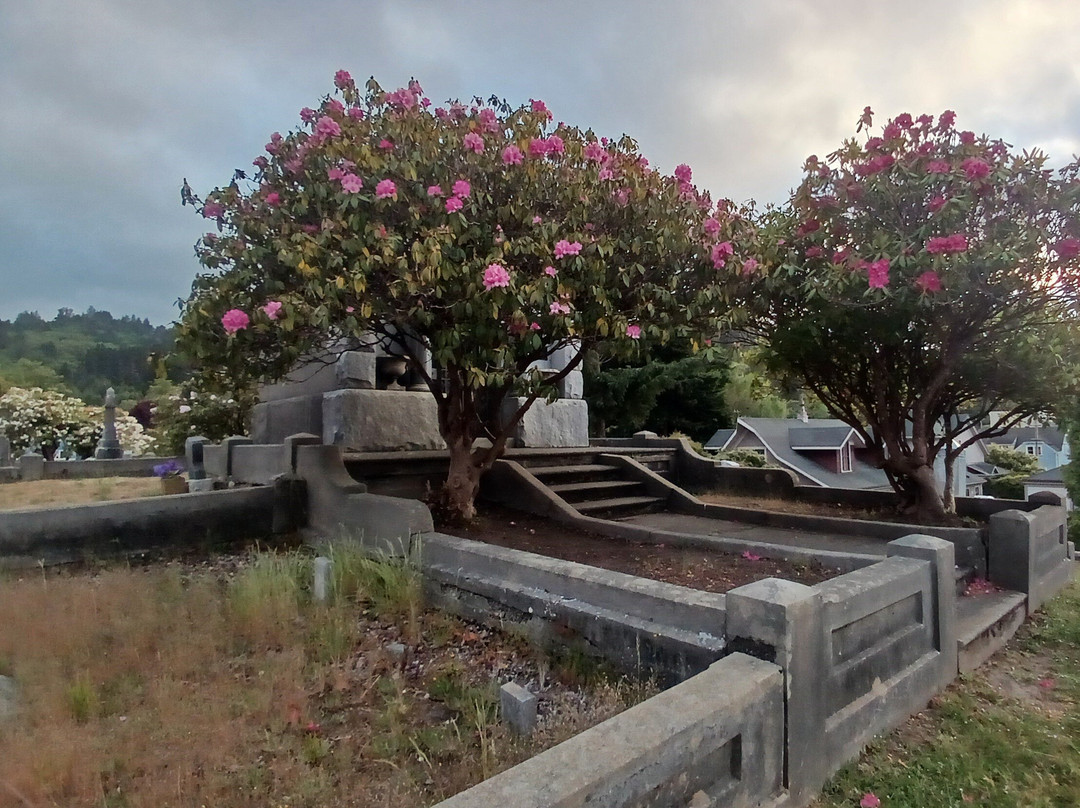 Ferndale Historic Cemetery景点图片