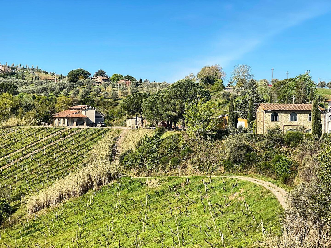 Tenuta Moriniello Società Agricola srl-蒙塔约内必去景点