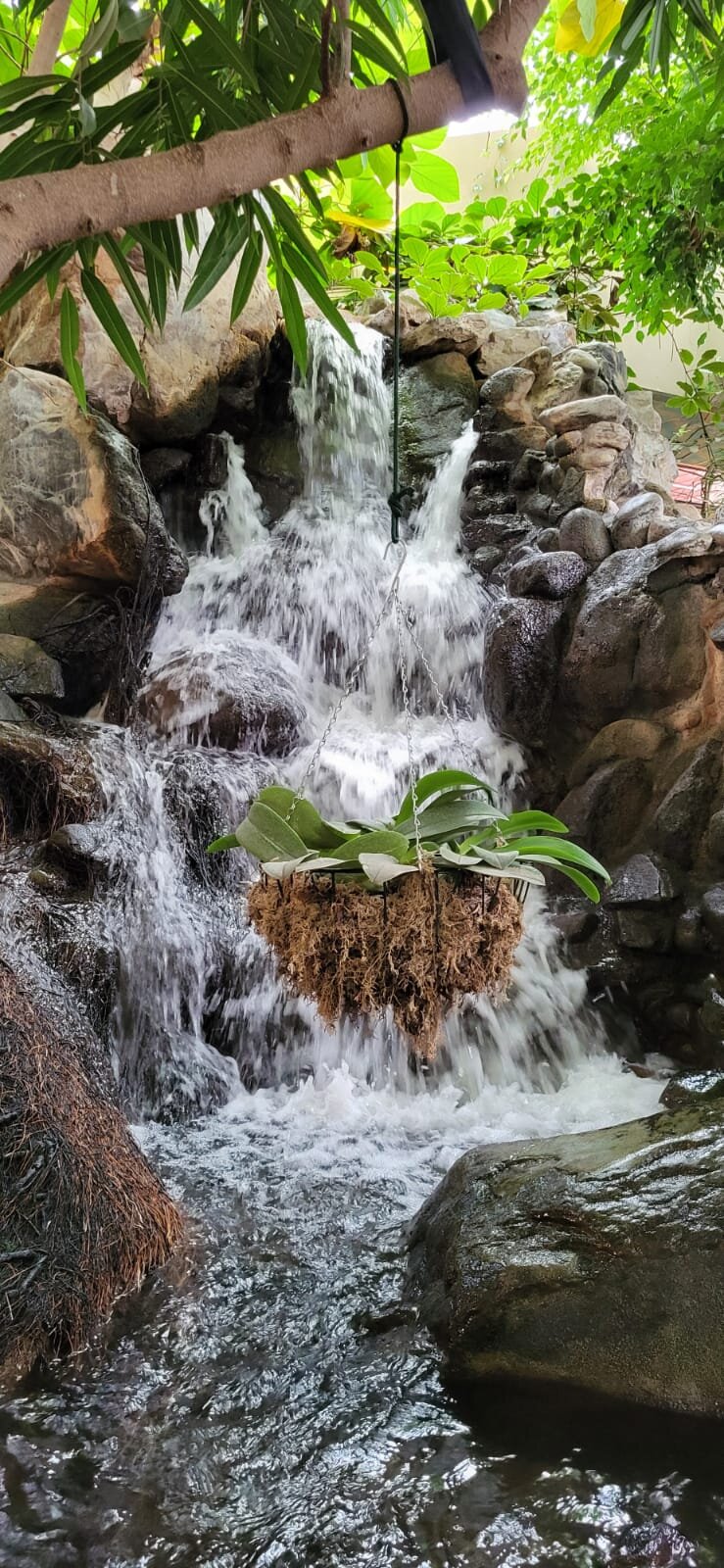 Center Parcs Het Meerdal-浴室