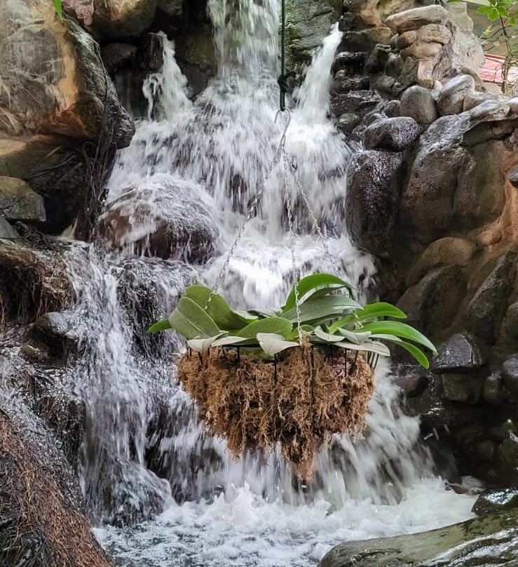 Center Parcs Het Meerdal主图