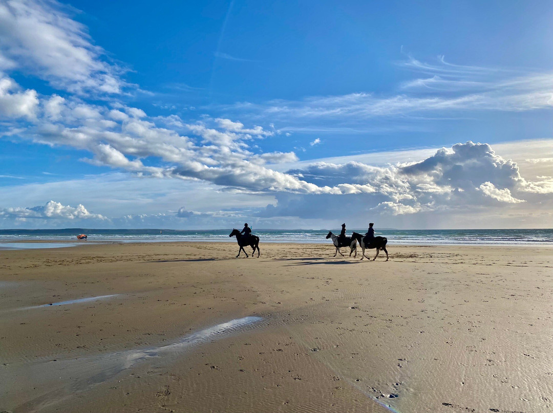 Newgale Campite景点图片