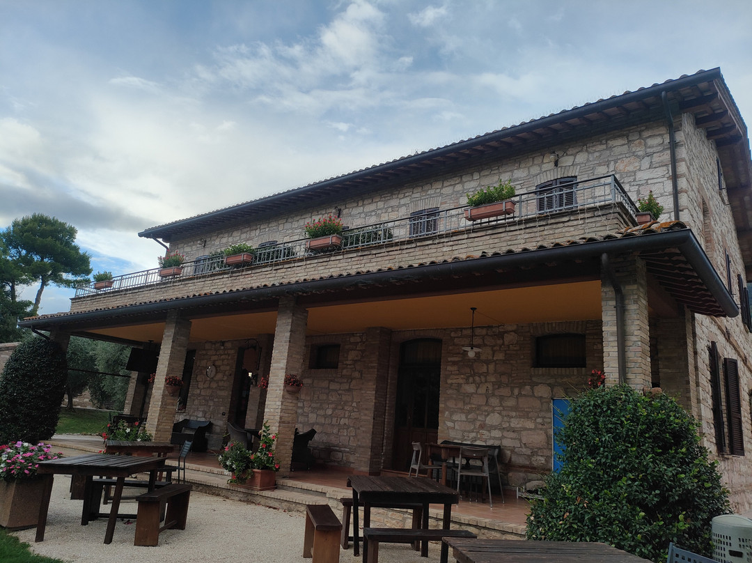 Agriturismo Il Giardino dei Ciliegi主图