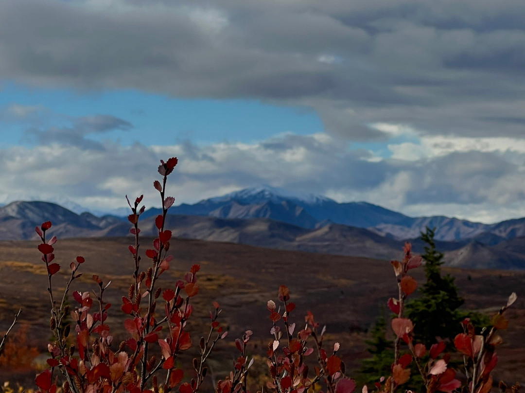 Denali Natural History Tour-德纳利国家公园和自然保护区必去景点