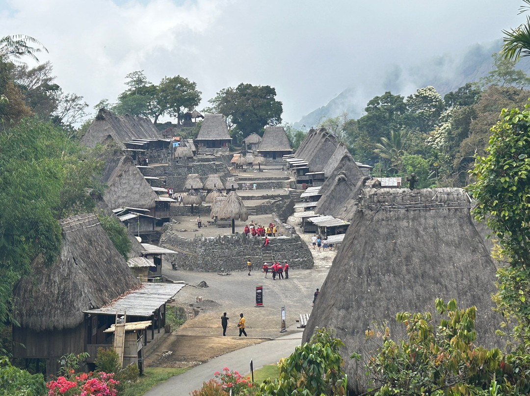 Bena Traditional Village景点图片