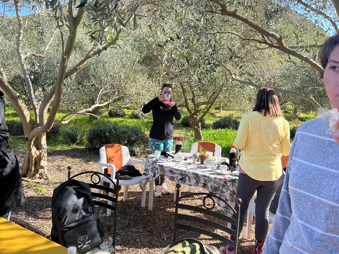 Owl's Rest Olive and Lavender Farm-Robertson必去景点