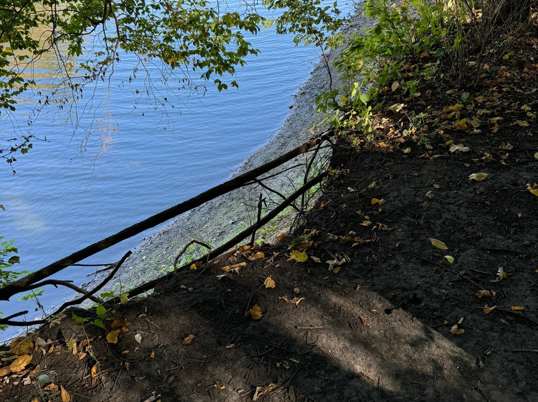 Kilen Woods State Park景点图片