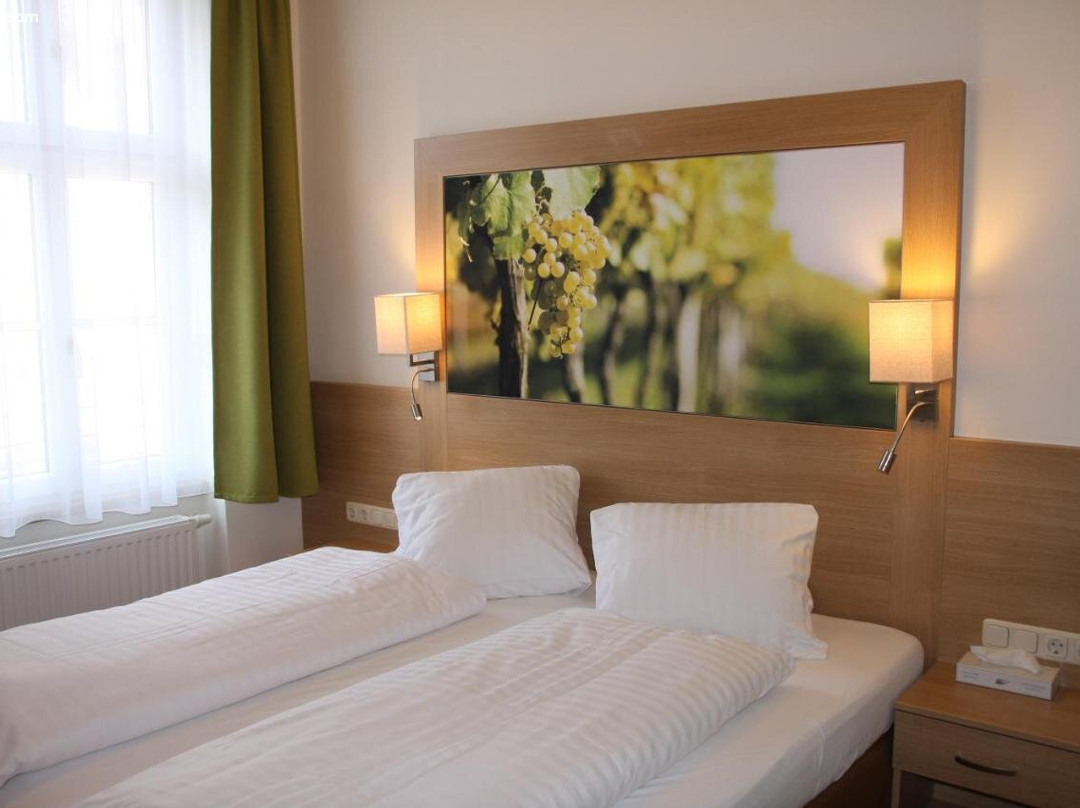 Wein Hotel Rieder主图