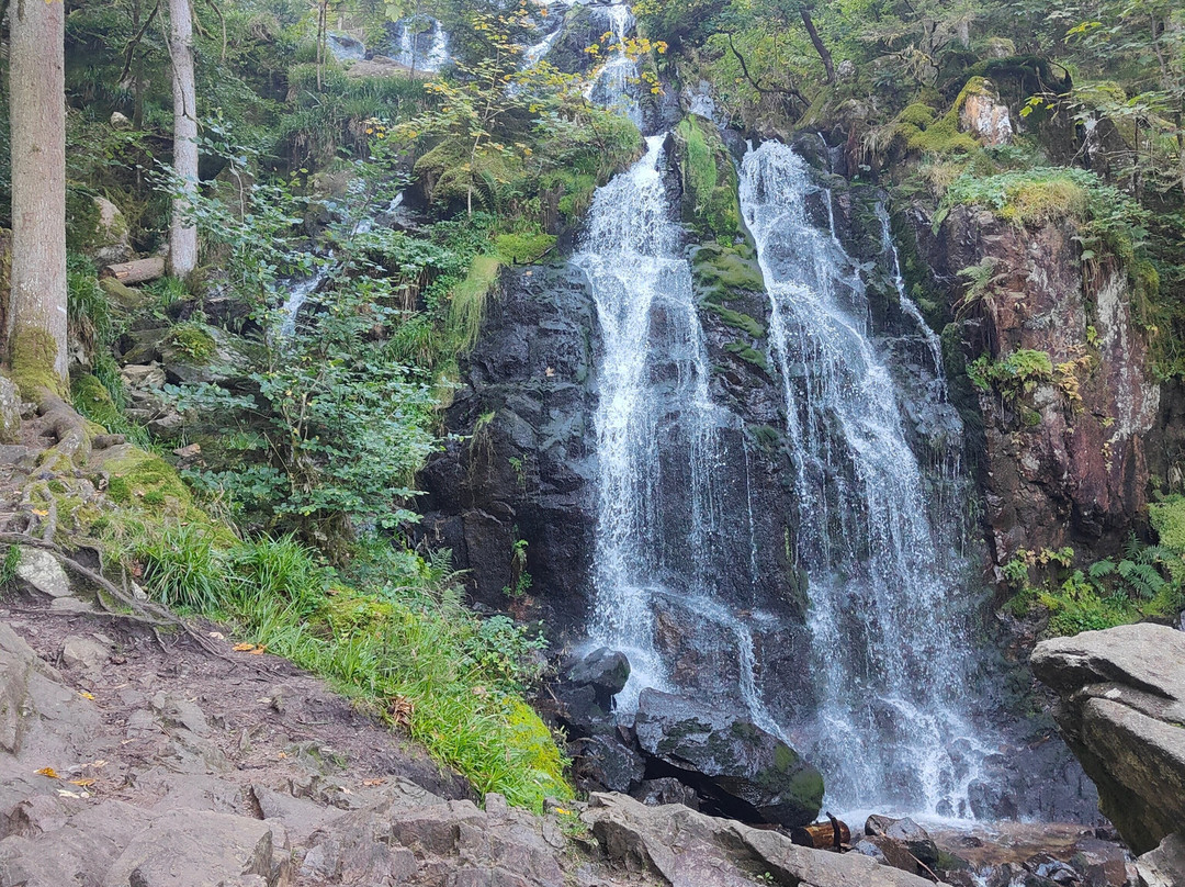 Grande Cascade de Tendon景点图片