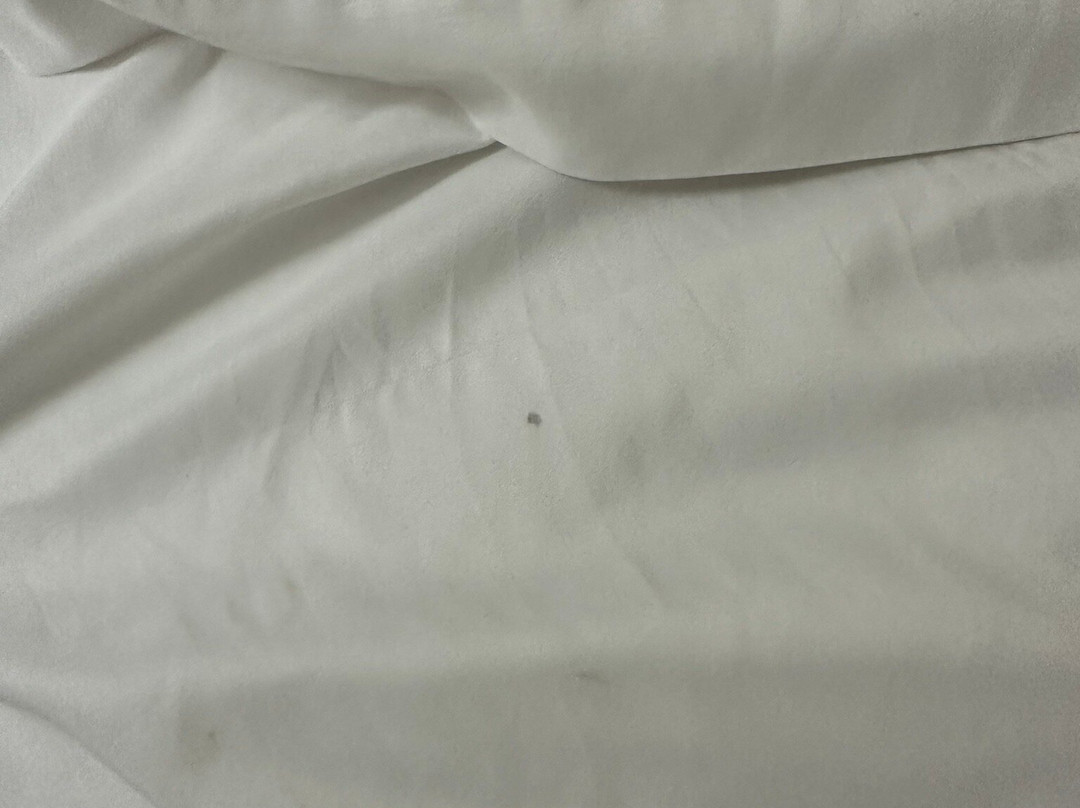 Comfort Suites Wytheville主图