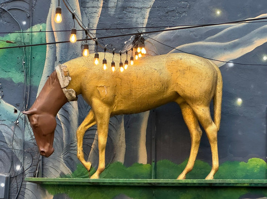 Harvey's Bar At The Grove-列克星敦必去景点