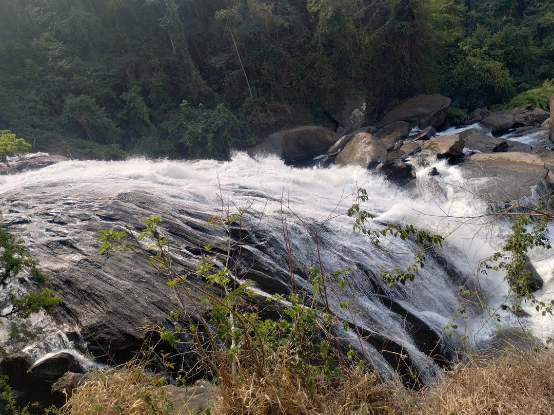 Cachoeira da Fumaca景点图片