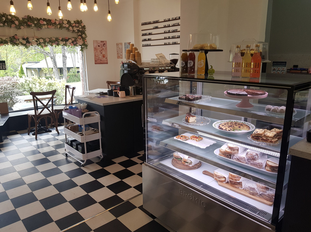 Violet's Of Sassafras