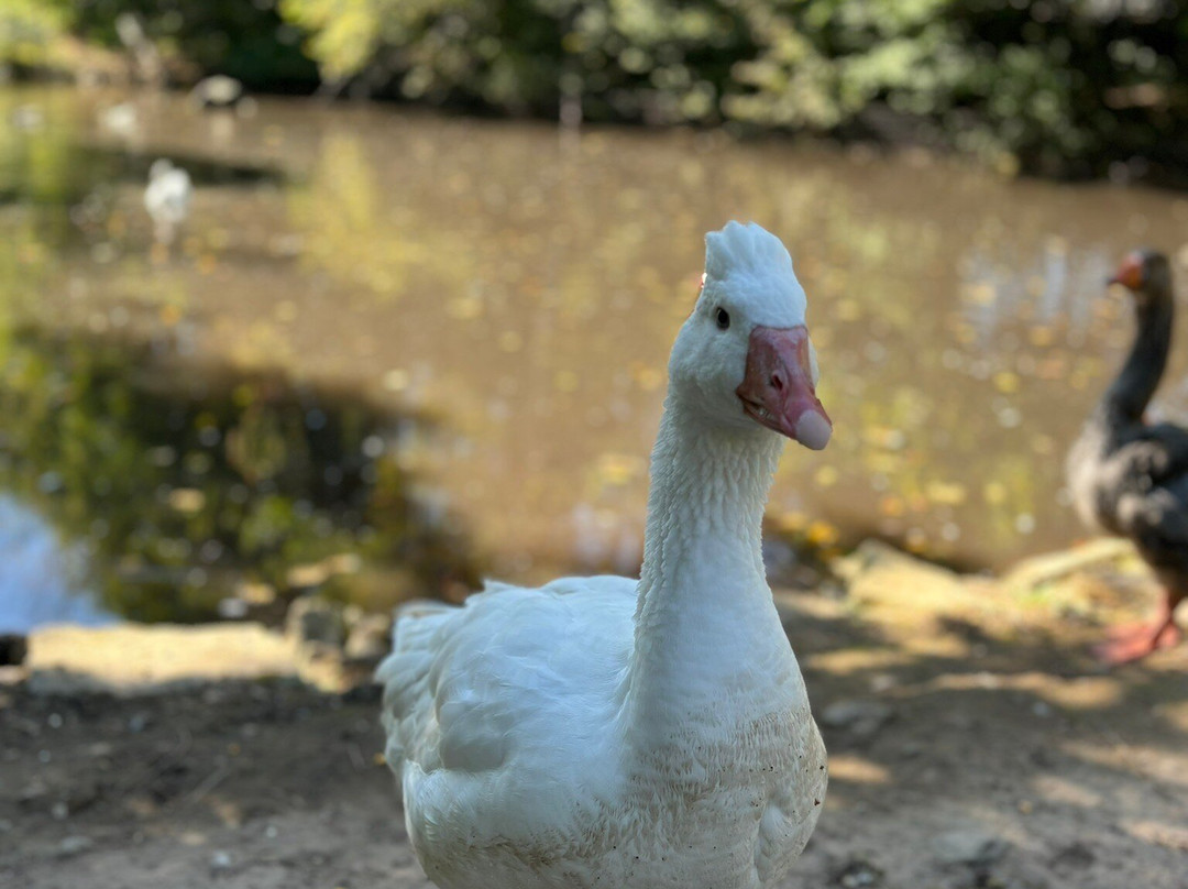 The Farm-斯特金贝必去景点
