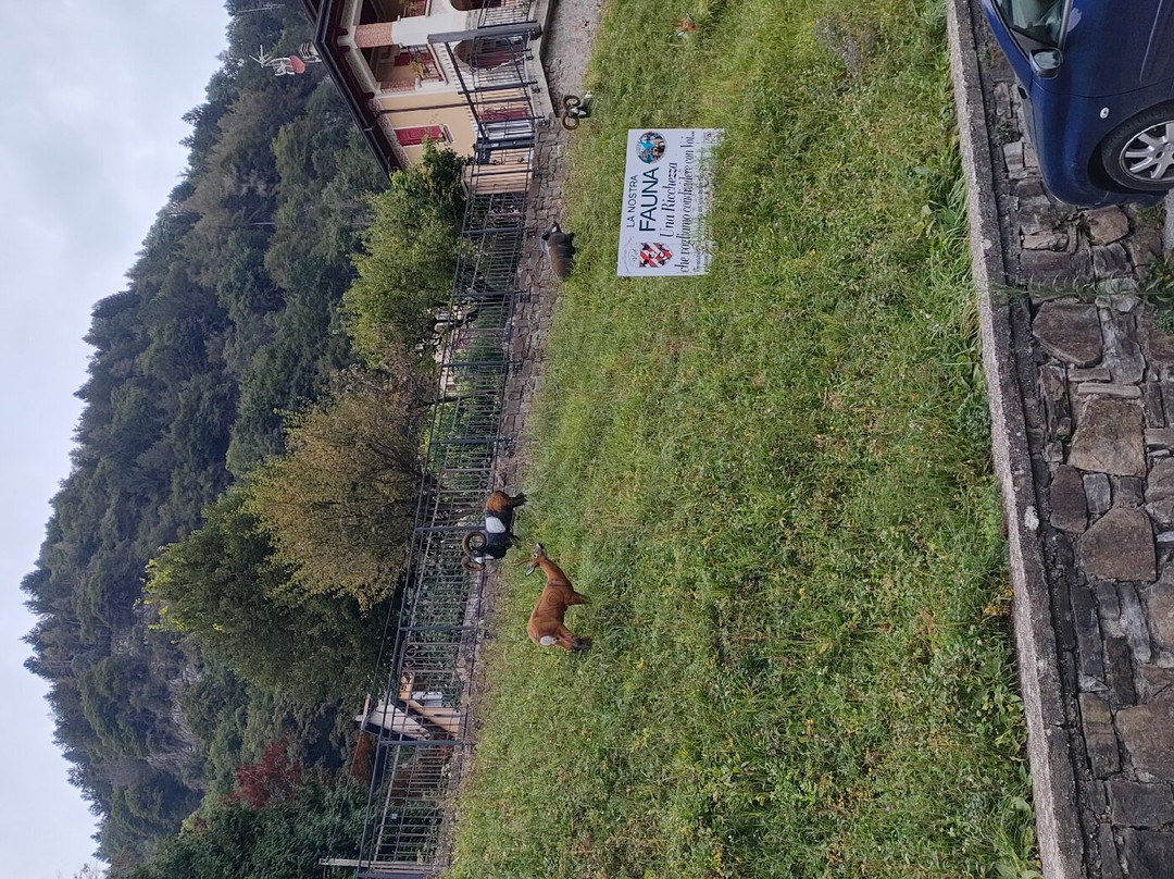 伊尔妮毕欧酒店主图