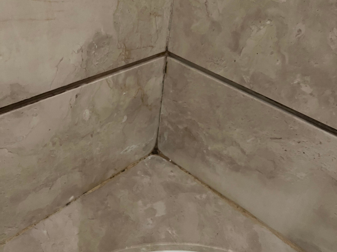 Hotiday Hotel Livorno