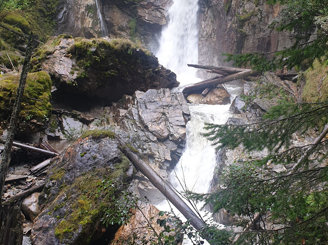 Crazy Creek Suspension Bridge景点图片