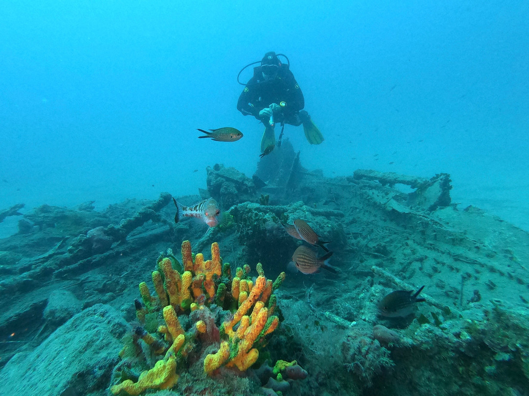 Diving Center Viking Hvar景点图片