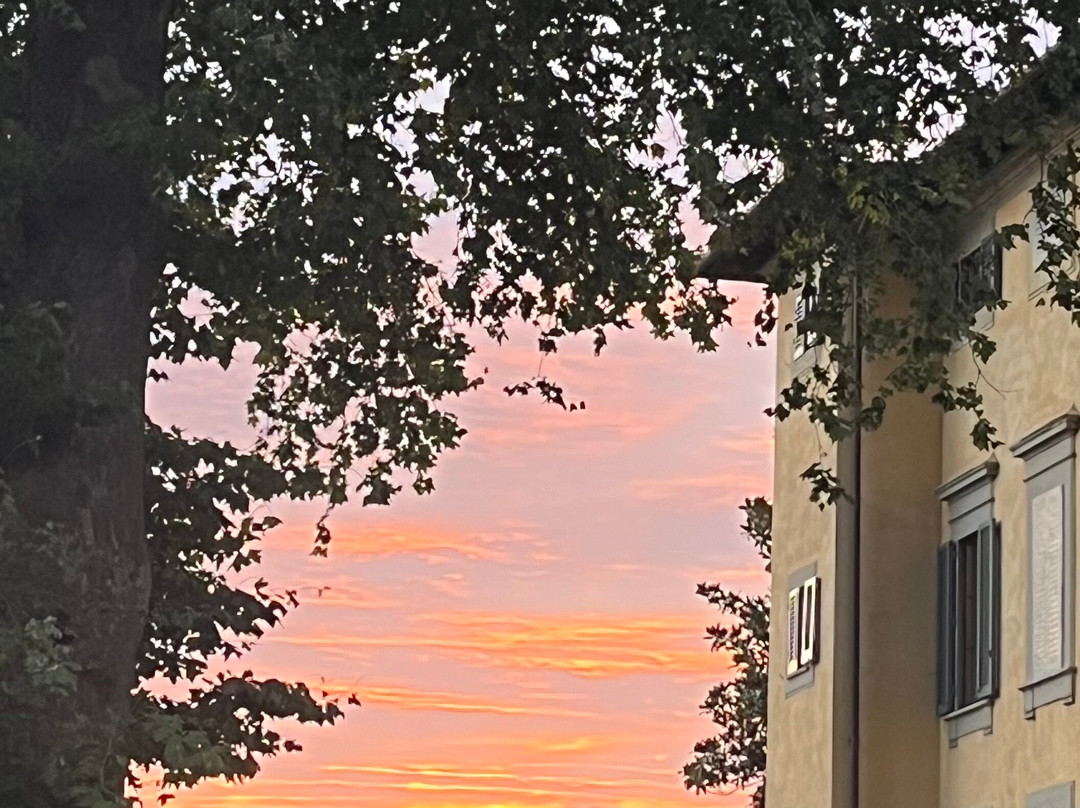 Villa La Massa主图