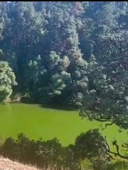 Deoria Tal Lake景点图片