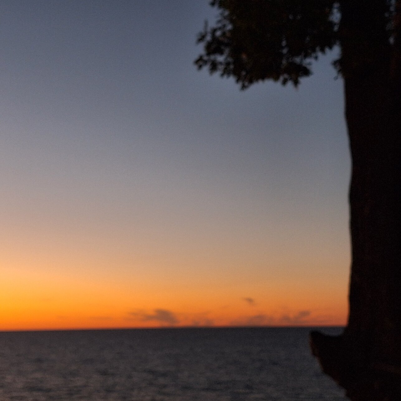 South Cliff Inn-官方