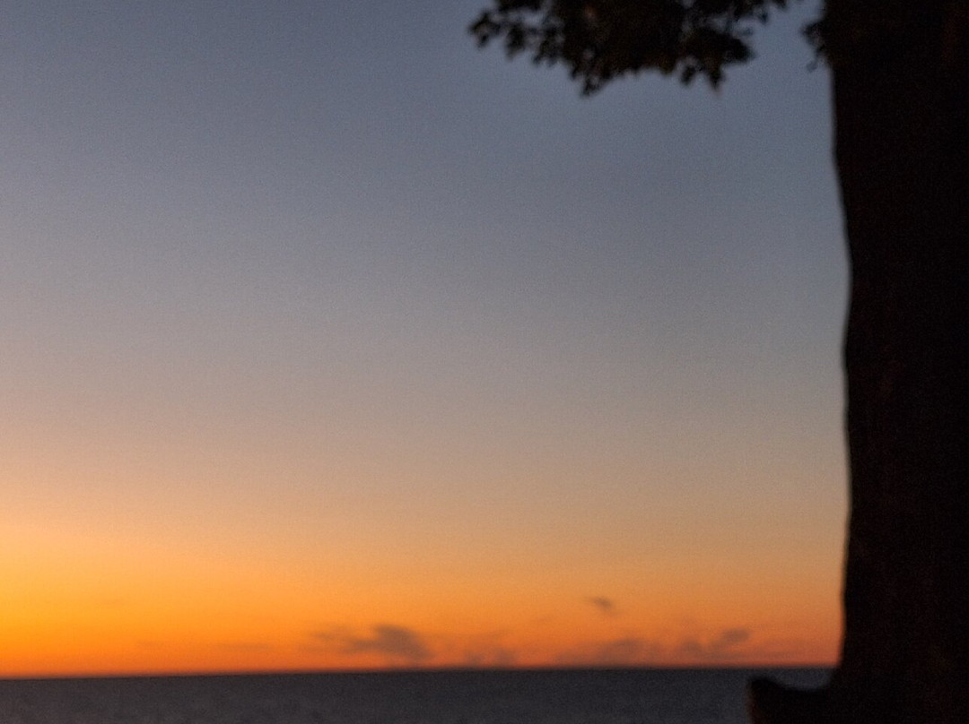 South Cliff Inn主图