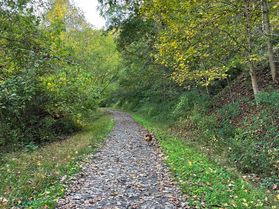 Pricketts Fort State Park-Fairmont必去景点
