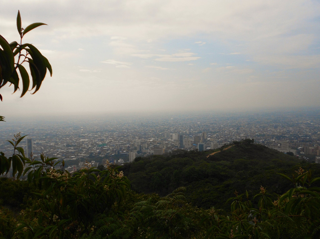 Cerro de Las Tres Cruces-卡利必去景点