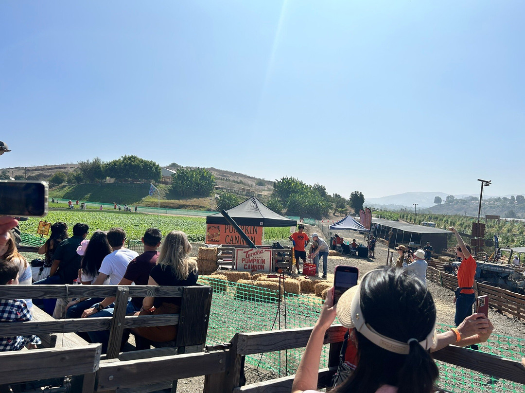 田中农场-尔湾必去景点