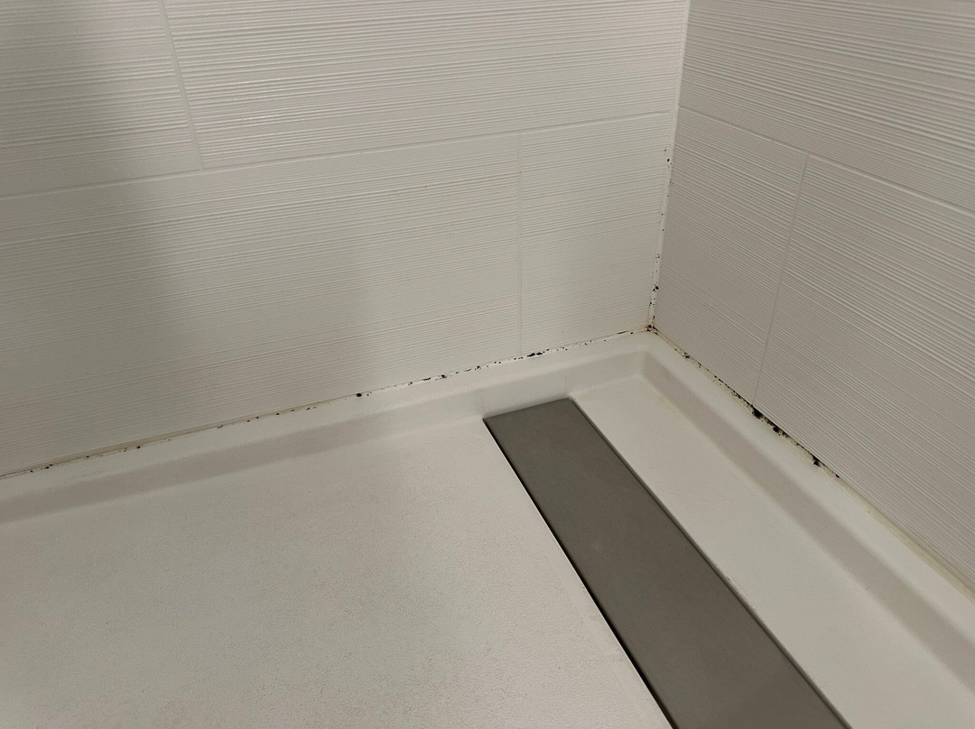 东艾尔文/森林湖希尔顿花园酒店主图