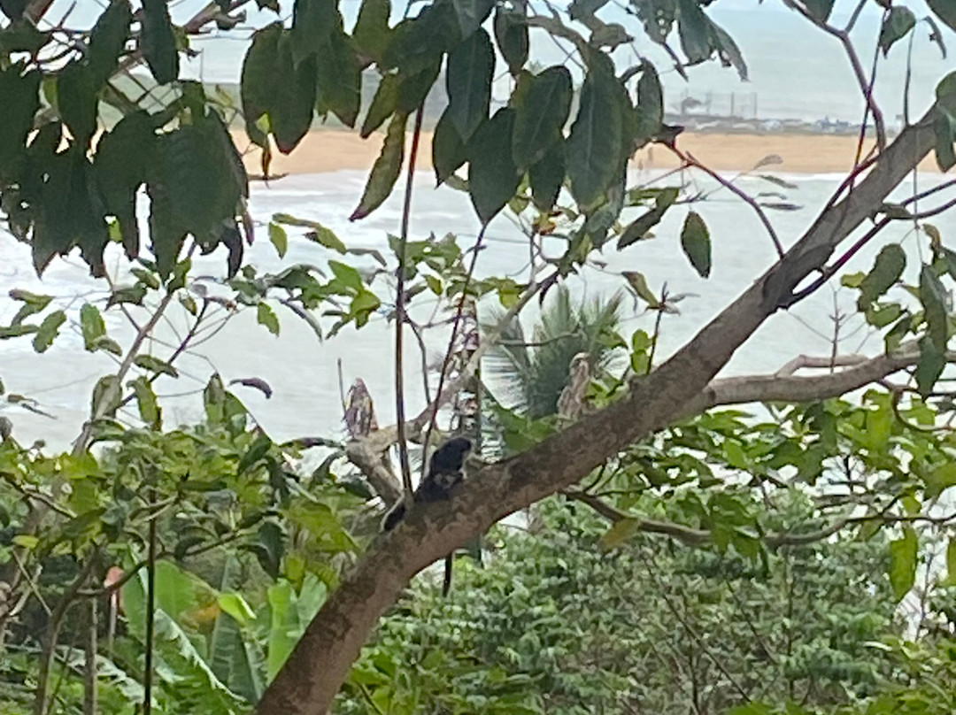 Pousada Bem Te Vi主图