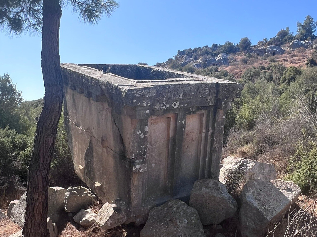 Xanthos Antik Kenti景点图片