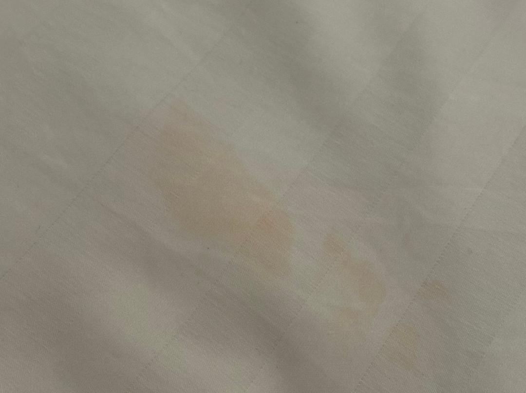 世纪松园度假村主图