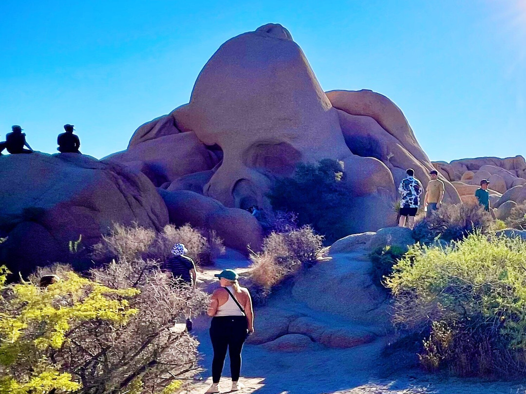 Skull Rock-约书亚树国家公园必去景点