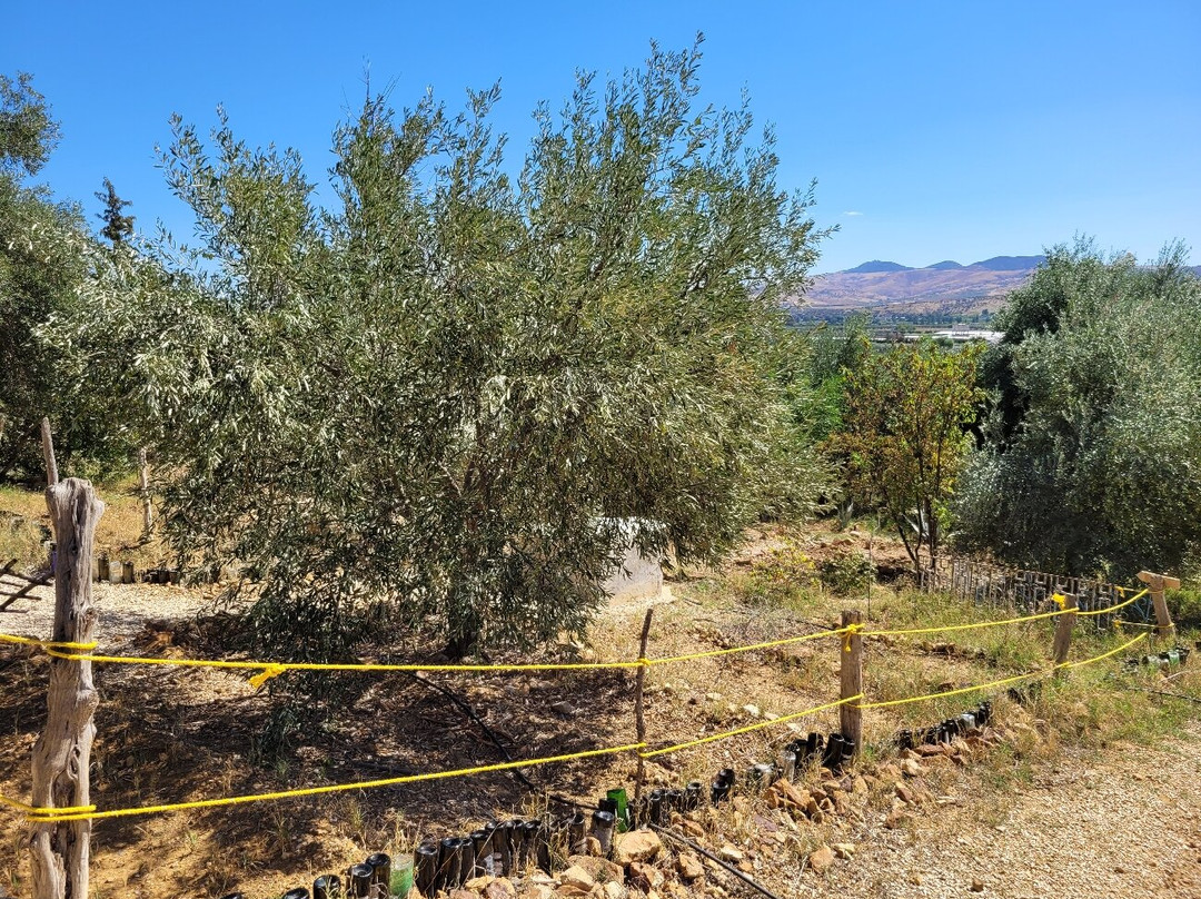 Verger des Montagnes主图