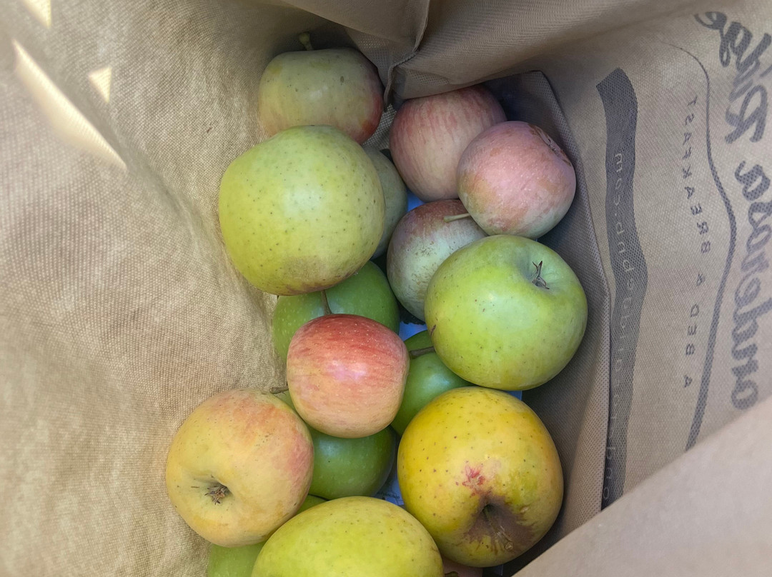 Ponderosa Ridge A Bed and Breakfast主图