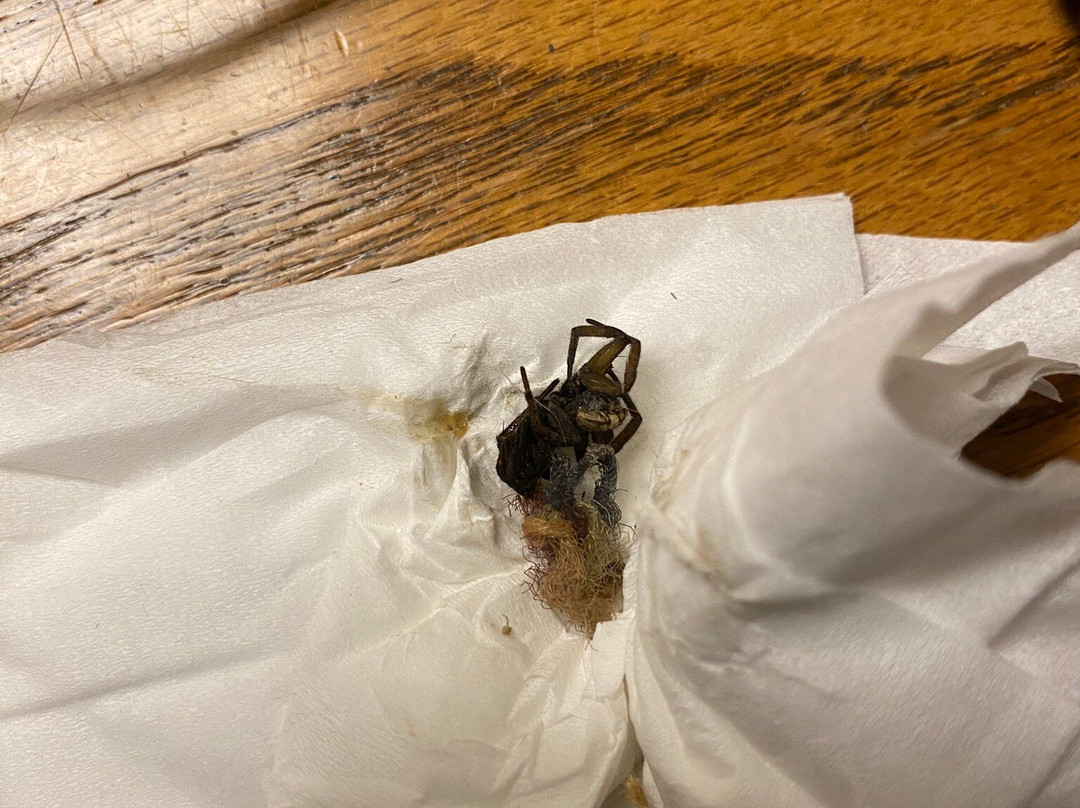 Berlin Heritage Inn主图