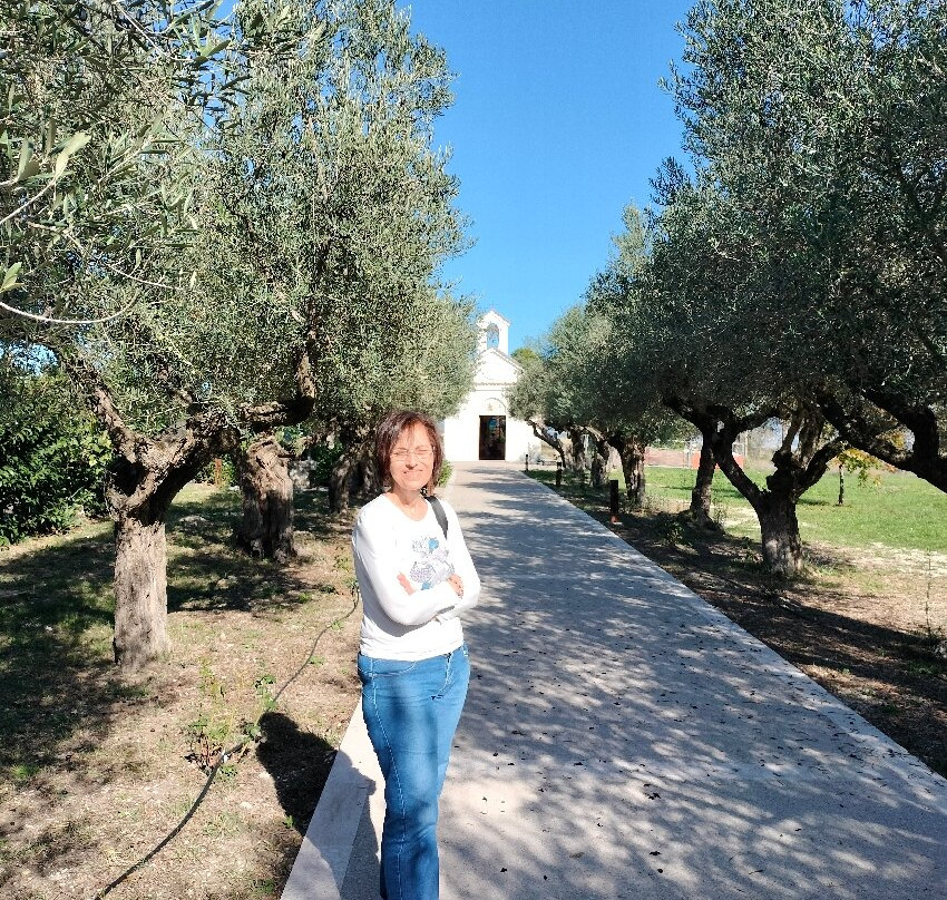 Cappella di San Francesco d'Assisi景点图片