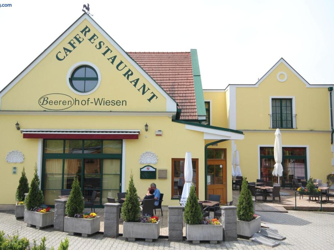 Mattersburg酒店住宿-Beerenhof Wiesen