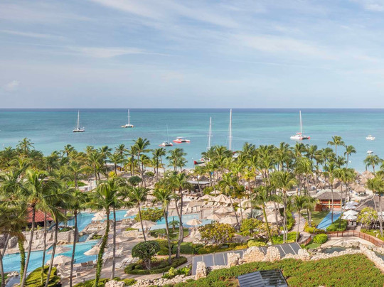 阿鲁巴岛君悦酒店赌场主图