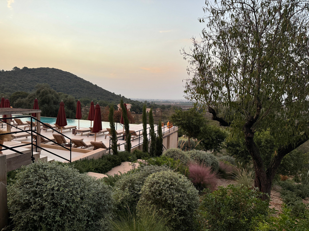 The Lodge Mallorca主图