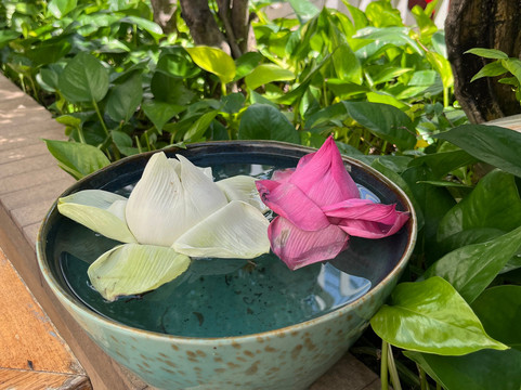 巴昂迪恩斯旅馆主图