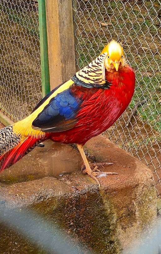 Pousada Famiglia Barthô主图