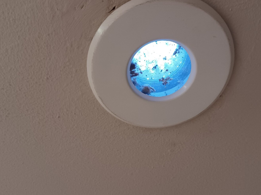 The Salty Monk主图